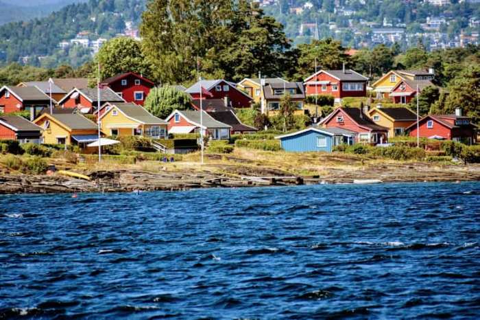 Omvisning HovedøYa, Utforsk HovedøYas Historie Med En Omvisning – En Reise Gjennom Klosterruiner Og Natur!