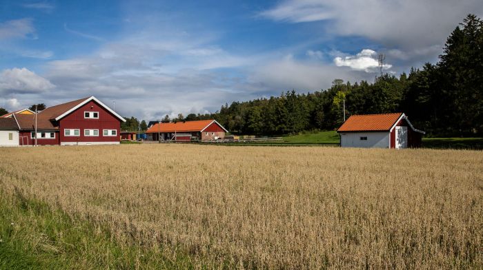 Omvisning BastøY 2019, Bli Med Tilbake Til 2019 Med En Omvisning På BastøY – En FengselsøY Som Vekker Nysgjerrighet!