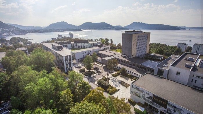 Nhh Omvisning, Få En Smak Av Studentlivet Med En Omvisning På Norges HandelshøYskole!