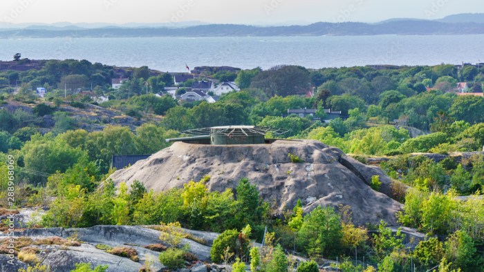 ToråS Fort Omvisnning, Opplev Norges Kystforsvar Med En Omvisning På ToråS Fort – En Viktig Del Av Krigshistorien!