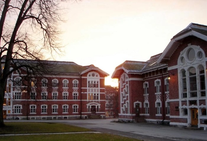 Omvisning Nmbu, Bli Kjent Med Norges Ledende Universitet Innen Miljø Og BæRekraft Med En Omvisning På Nmbu!