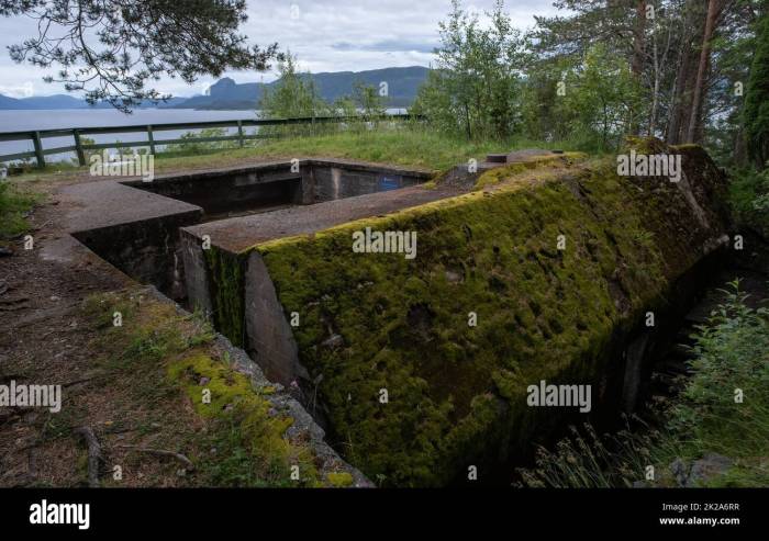 Omvisning I Festninger, Utforsk Norges Festninger Med En Omvisning – En Reise Gjennom Forsvarshistorien!